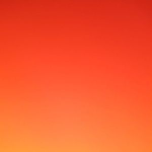 Meet your Posher, Shirley